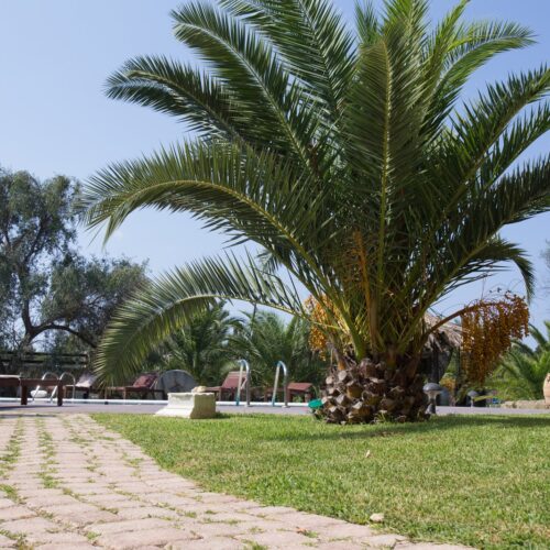 Villa 3